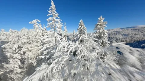 Cinematic FPV drone flight through snowy winter forest on sunny day Stock Footage 321608674
