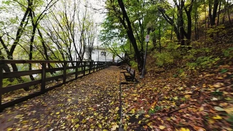 Cinematic FPV Drone Flying Through Bright Autumn Forest Path — Aerial 4K Nature Stock Footage 319591536
