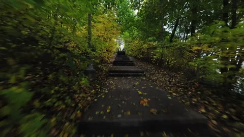 Cinematic FPV Drone Flying Through Wooden Forest Stairs in Golden Autumn Stock Footage 319591647