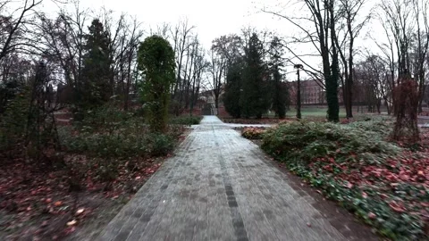 Cinematic FPV drone over lush green park Видео 321644698