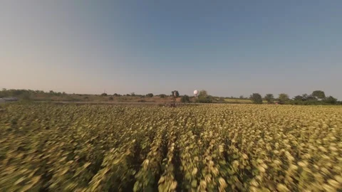 Cinematic FPV drone pullback from oil pumpjack near Shabla, Bulgaria. Stock Footage 342137013