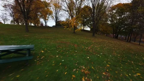 Cinematic fpv flight between autumn trees Stock Footage 320201563