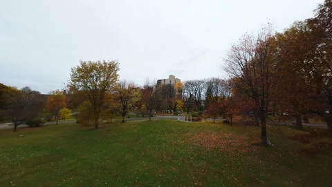 Cinematic fpv flight over autumn river Stock Footage 320197921