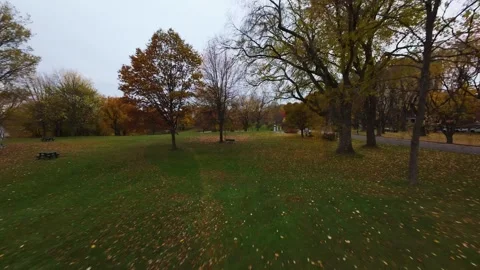 Cinematic fpv flight over autumn forest Stock Footage 320201880