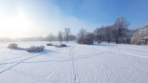 Cinematic FPV Flight Over Snowy Park Path — Winter Landscape Stock Footage 323248008