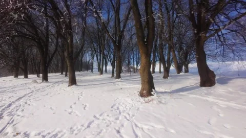 Cinematic FPV Flight Over Snowy Park Path — Winter Landscape Stock Footage 323248134