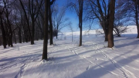 Cinematic FPV Flight Over Snowy Park Path — Winter Landscape Stock Footage 323248146