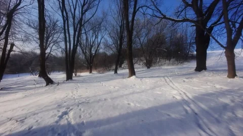 Cinematic FPV Flight Over Snowy Park Path — Winter Landscape Stock Footage 323248159