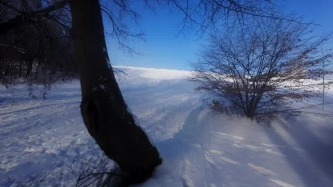 Cinematic FPV Flight Over Snowy Park Path — Winter Landscape Stock Footage 323248186
