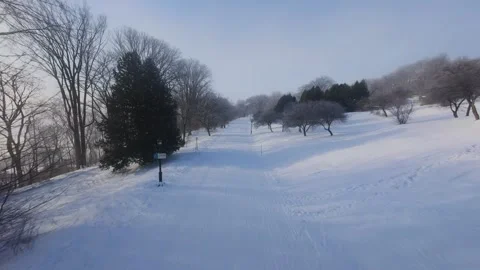 Cinematic FPV Flight Over Snowy Park Path — Winter Landscape Stock Footage 323248864