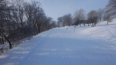 Cinematic FPV Flight Over Snowy Park Path — Winter Landscape Stock Footage 323248909