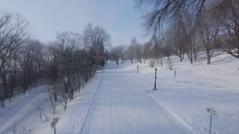 Cinematic FPV Flight Over Snowy Park Path — Winter Landscape Stock Footage 323248932