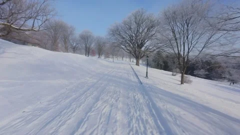 Cinematic FPV Flight Over Snowy Park Path — Winter Landscape Stock Footage 323248941