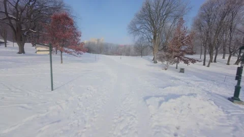 Cinematic FPV Flight Over Snowy Park Path — Winter Landscape Stock Footage 323248952