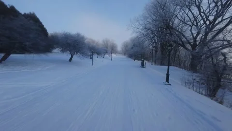 Cinematic FPV Flight Over Snowy Park Path — Winter Landscape 스톡 동영상 323249042