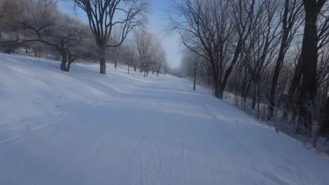 Cinematic FPV Flight Over Snowy Park Path — Winter Landscape Stock Footage 323249075
