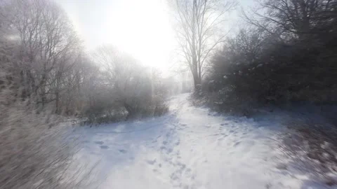 Cinematic FPV Flight Over Snowy Park Path — Winter Landscape Stock Footage 323249237