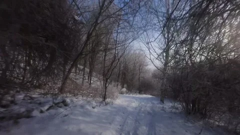 Cinematic FPV Flight Over Snowy Park Path — Winter Landscape Stock Footage 323249248
