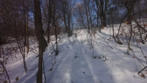 Cinematic FPV Flight Over Snowy Park Path — Winter Landscape Stock Footage 323249258