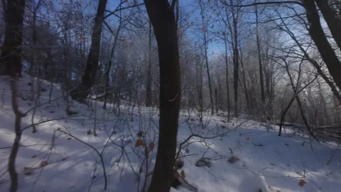 Cinematic FPV Flight Over Snowy Park Path — Winter Landscape Stock Footage 323249268