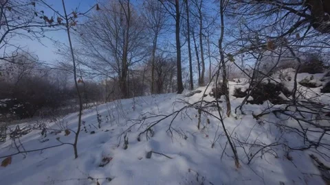 Cinematic FPV Flight Over Snowy Park Path — Winter Landscape Stock Footage 323249281