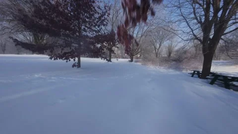Cinematic FPV Flight Over Snowy Park Path — Winter Landscape Stock Footage 323249286