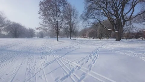 Cinematic FPV Flight Over Snowy Park Path — Winter Landscape Stock Footage 323249308