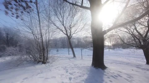Cinematic FPV Flight Over Snowy Park Path — Winter Landscape Stock Footage 323249333