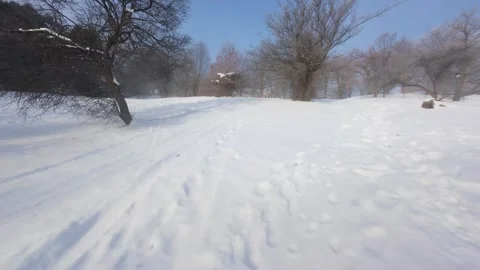 Cinematic FPV Flight Over Snowy Park Path — Winter Landscape Stock Footage 323249356