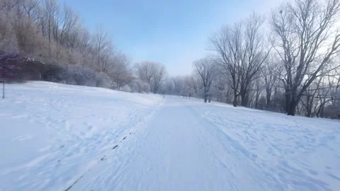Cinematic FPV Flight Over Snowy Park Path — Winter Landscape Stock Footage 323249378