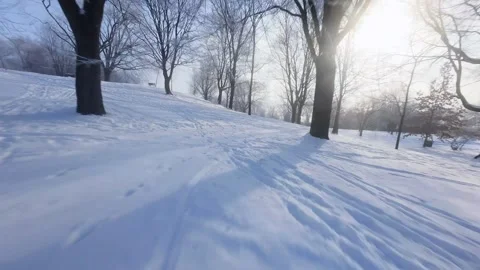 Cinematic FPV Flight Over Snowy Park Path — Winter Landscape Stock Footage 323249546