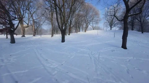 Cinematic FPV Flight Over Snowy Park Path — Winter Landscape Stock Footage 323249597