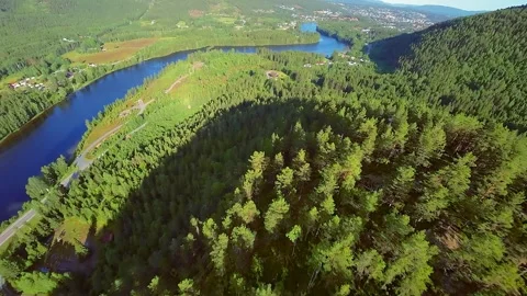 Cinematic FPV Flight Over Treetops Into  Numedalslågen River River 库存影片 313442664