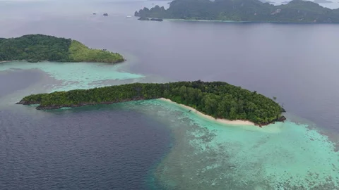 Cinematic FPV Style Flyover of Exotic Misool Coastline Indonesia Vidéo 337959756