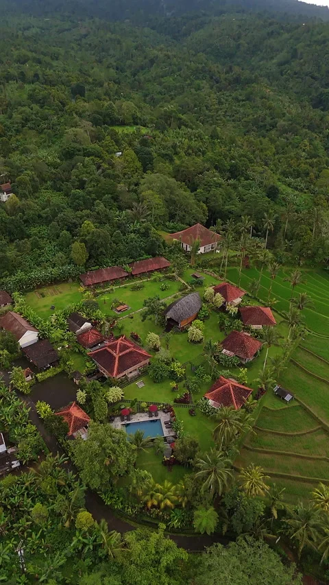 Cinematic FPV Style Flyover Sava Eco Retreat Tabanan Bali 4K Stock Footage 341950595