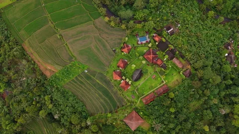 Cinematic FPV Style Flyover Sava Eco Retreat Tabanan Bali 4K Vidéo 341951380