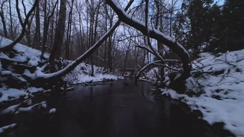 Cinematic fpv winter creek flythrough – original file edition Stock Footage 321320248