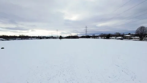 Cinematic fpv winter field flyover with lone tree and power lines Stock Footage 321380687