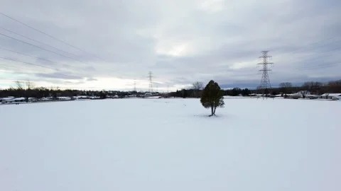 Cinematic fpv winter field flyover with lone tree and power lines Stock Footage 321380760