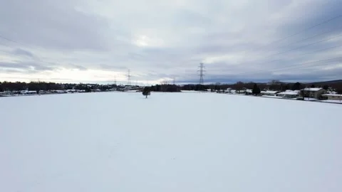 Cinematic fpv winter field flyover with lone tree and power lines Stock Footage 321380846