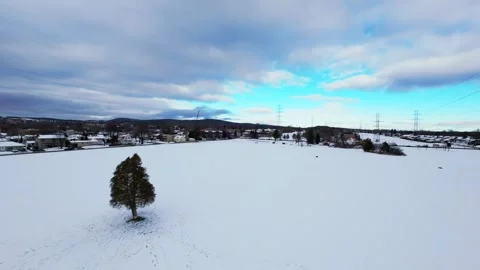 Cinematic fpv winter field flyover with lone tree and power lines Stock Footage 321380921