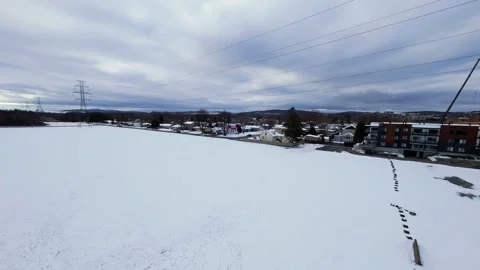 Cinematic fpv winter field flyover with lone tree and power lines Stock Footage 321380933