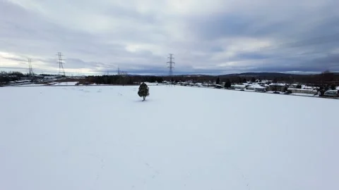 Cinematic fpv winter field flyover with lone tree and power lines Stock Footage 321380954