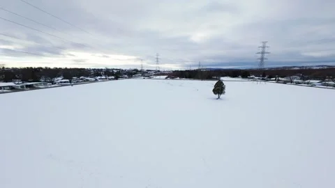 Cinematic fpv winter field flyover with lone tree and power lines Stock Footage 321381021