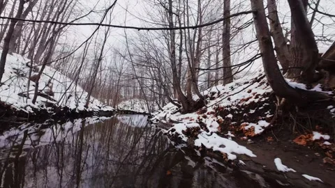 Cinematic fpv winter river low flythrough in snowy forest Stock Footage 321380124