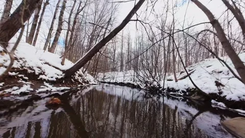 Cinematic fpv winter river low flythrough in snowy forest Stock Footage 321380162