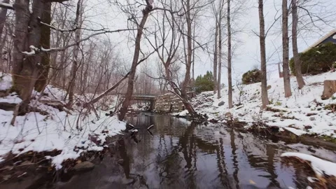 Cinematic fpv winter river low flythrough in snowy forest Stock Footage 321380240
