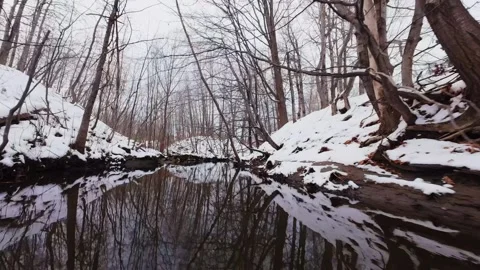 Cinematic fpv winter river low flythrough in snowy forest Stock Footage 321380272