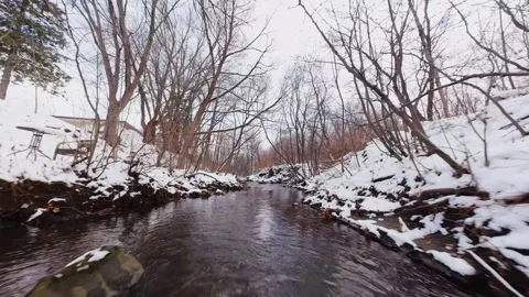 Cinematic fpv winter river low flythrough in snowy forest Stock Footage 321380343