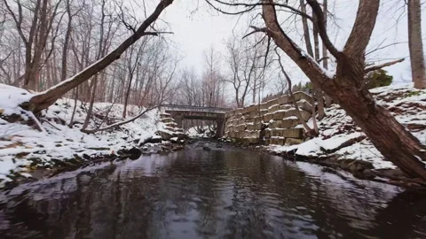Cinematic fpv winter river low flythrough in snowy forest Stock Footage 321380403